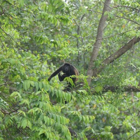 Panama Eco Resort Tierra Oscura Екстериор снимка