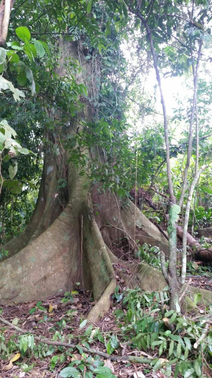 Panama Eco Resort Tierra Oscura Екстериор снимка