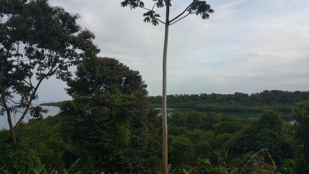 Panama Eco Resort Tierra Oscura Екстериор снимка