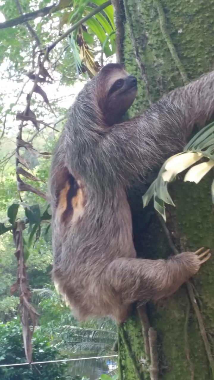 Panama Eco Resort Tierra Oscura Екстериор снимка