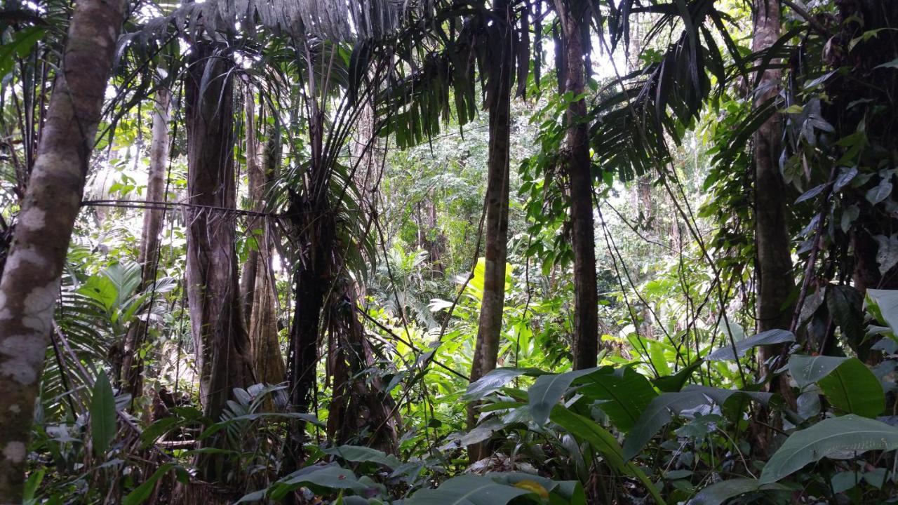 Panama Eco Resort Tierra Oscura Екстериор снимка
